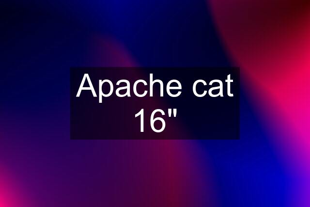 Apache cat 16"