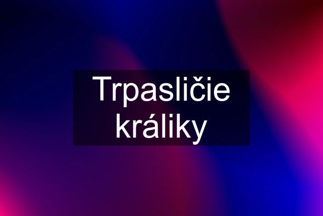 Trpasličie králiky