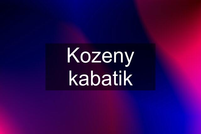 Kozeny kabatik