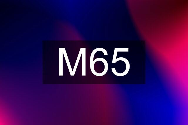 M65