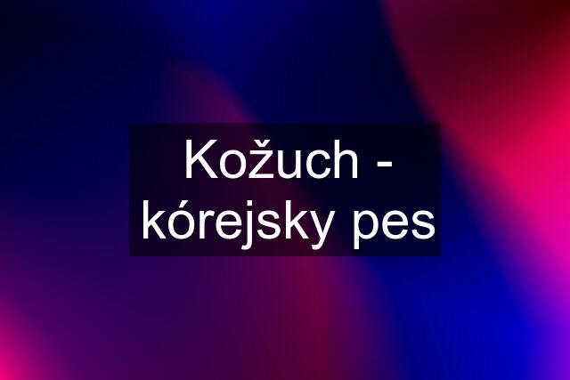 Kožuch - kórejsky pes