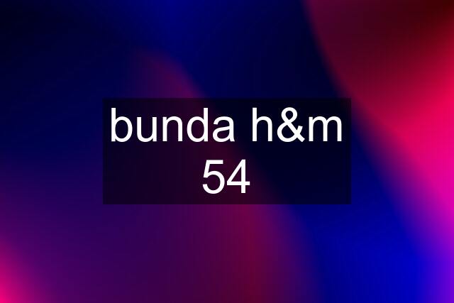 bunda h&m 54