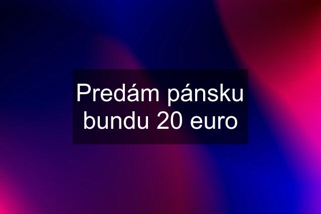 Predám pánsku bundu 20 euro