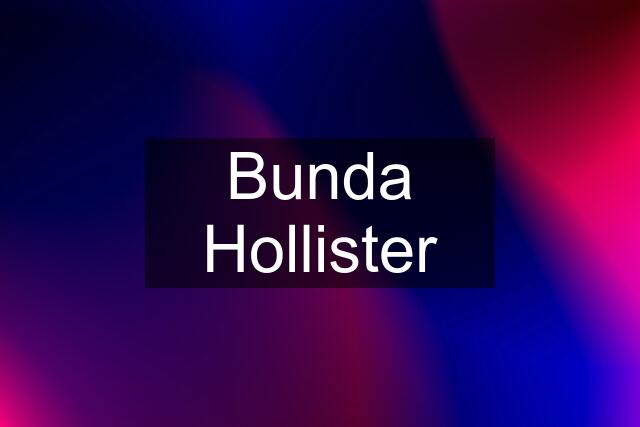 Bunda Hollister