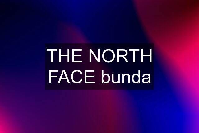 THE NORTH FACE bunda