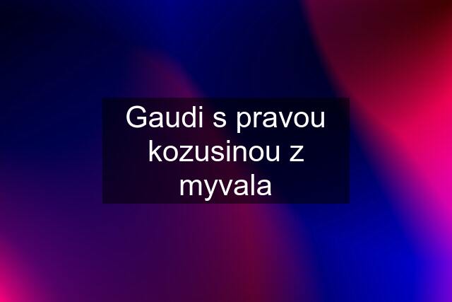 Gaudi s pravou kozusinou z myvala