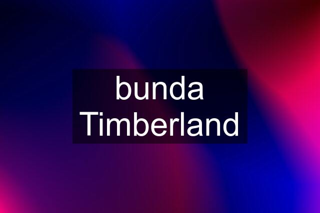 bunda Timberland