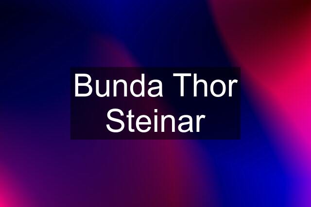 Bunda Thor Steinar