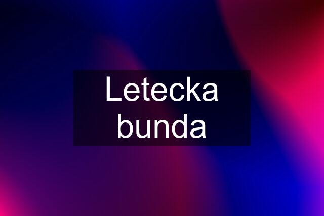 Letecka bunda