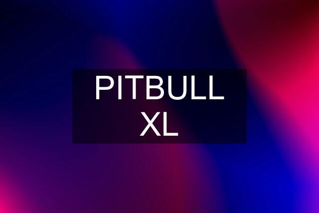 PITBULL XL