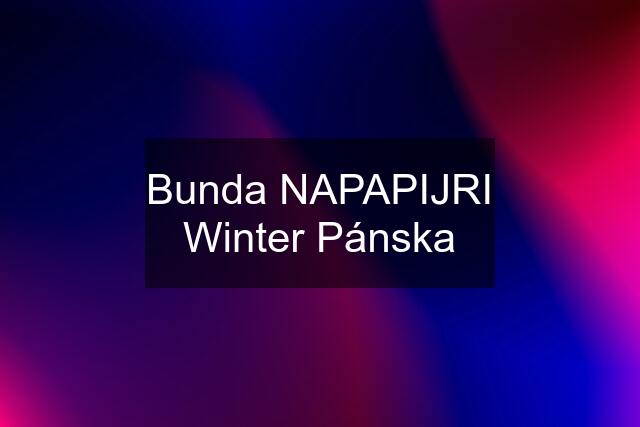 Bunda NAPAPIJRI Winter Pánska