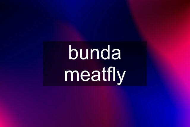 bunda meatfly