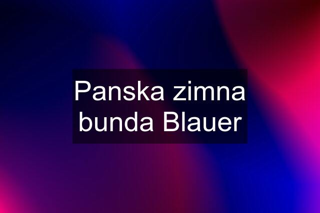 Panska zimna bunda Blauer