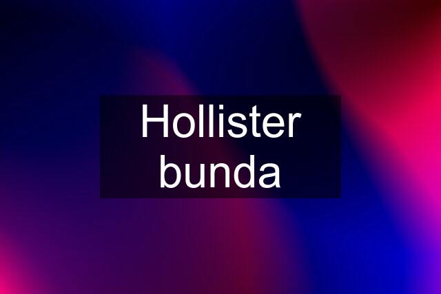 Hollister bunda