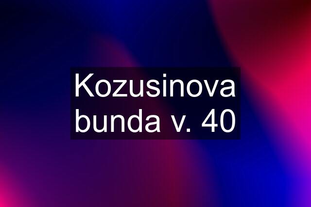 Kozusinova bunda v. 40