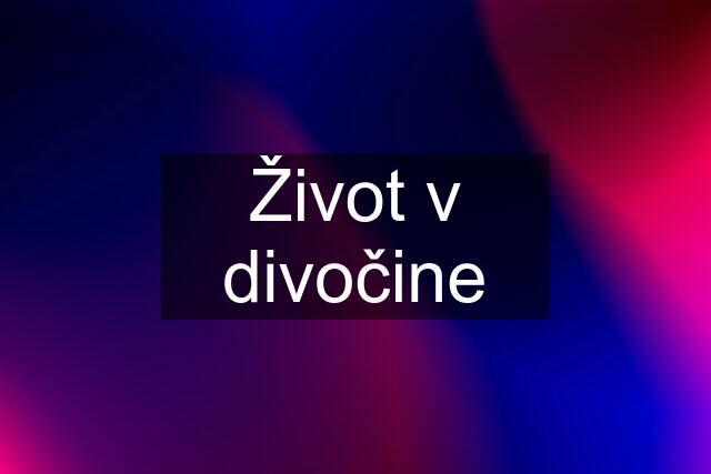 Život v divočine