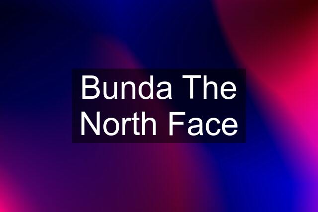 Bunda The North Face