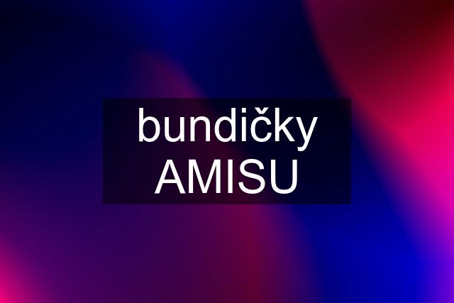 bundičky AMISU