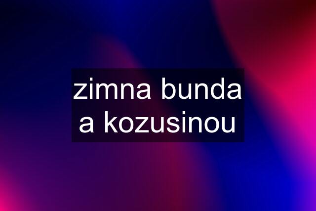 zimna bunda a kozusinou