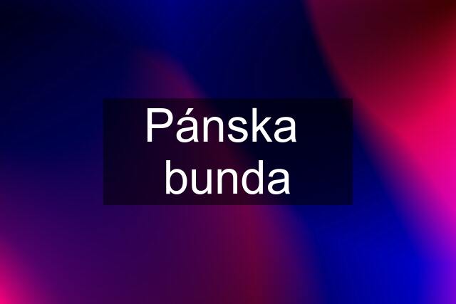 Pánska  bunda