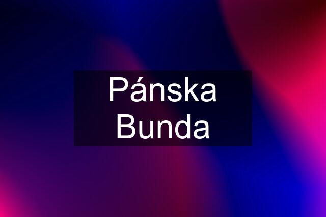 Pánska Bunda