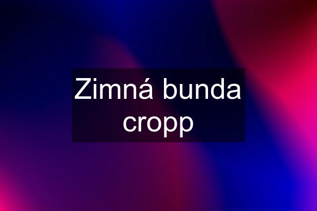 Zimná bunda cropp