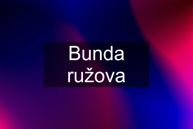 Bunda ružova