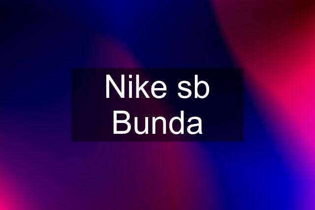 Nike sb Bunda