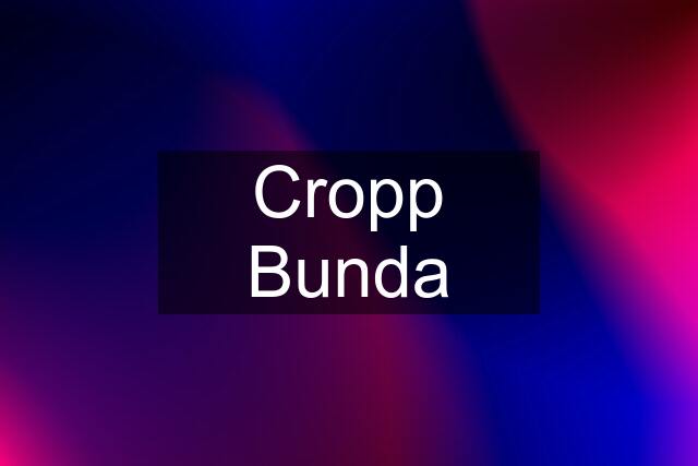 Cropp Bunda