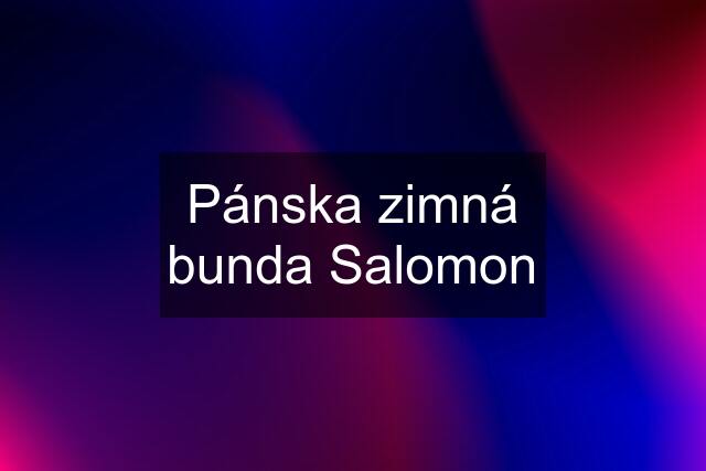 Pánska zimná bunda Salomon