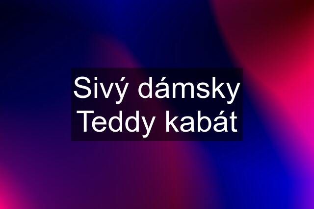 Sivý dámsky Teddy kabát