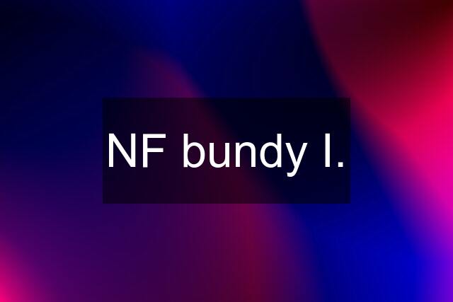 NF bundy I.