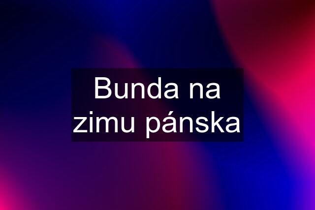 Bunda na zimu pánska