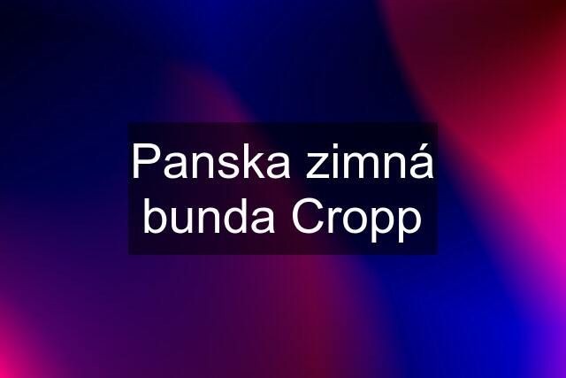 Panska zimná bunda Cropp