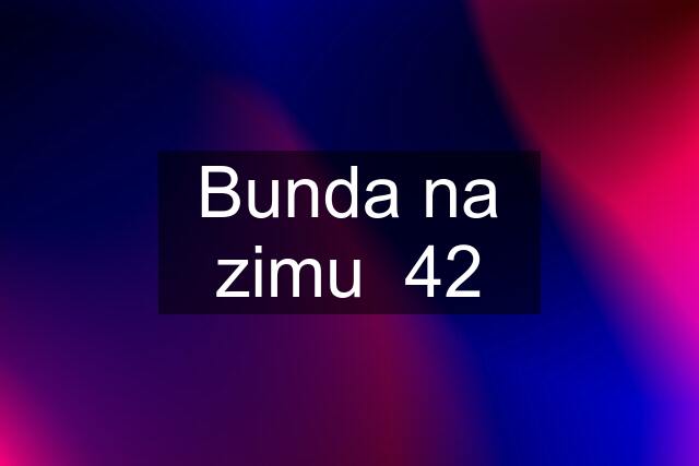 Bunda na zimu  42