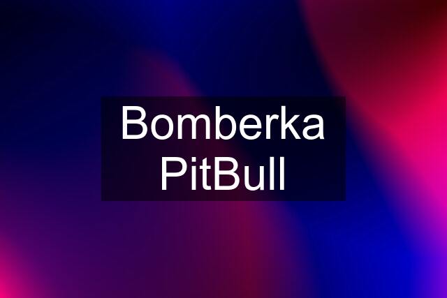 Bomberka PitBull