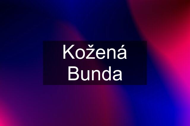 Kožená Bunda