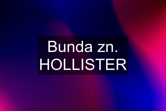 Bunda zn. HOLLISTER