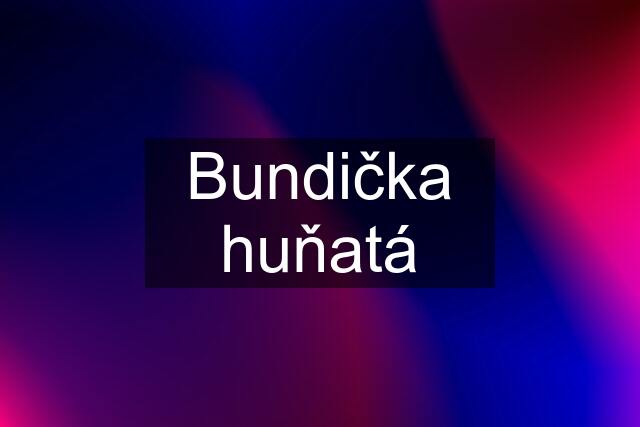 Bundička huňatá