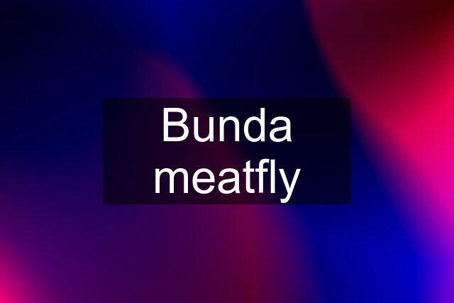 Bunda meatfly