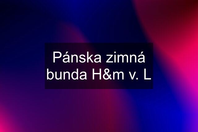 Pánska zimná bunda H&m v. L