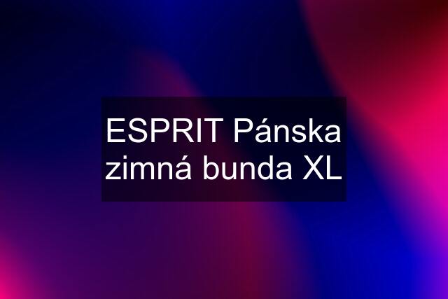 ESPRIT Pánska zimná bunda XL