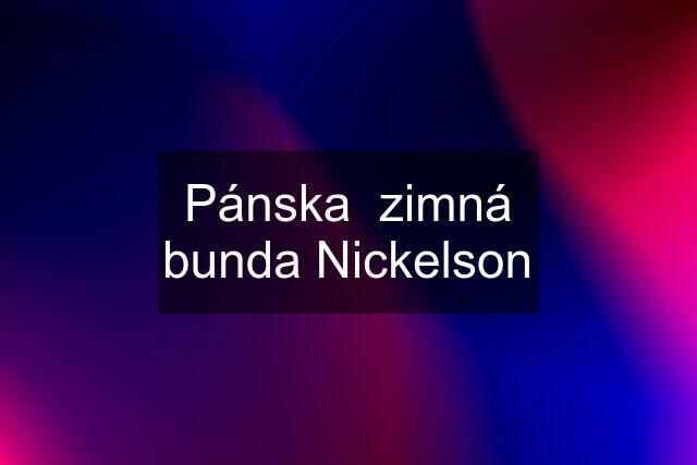 Pánska  zimná bunda Nickelson