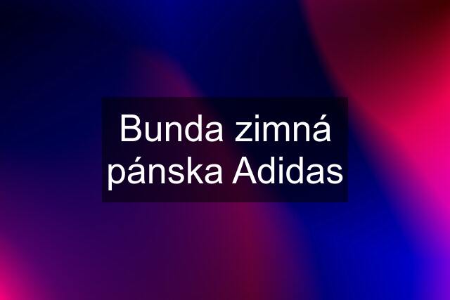 Bunda zimná pánska Adidas