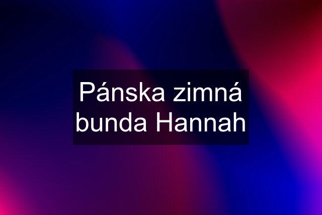 Pánska zimná bunda Hannah