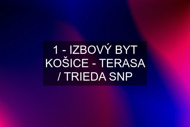 1 - IZBOVÝ BYT KOŠICE - TERASA / TRIEDA SNP