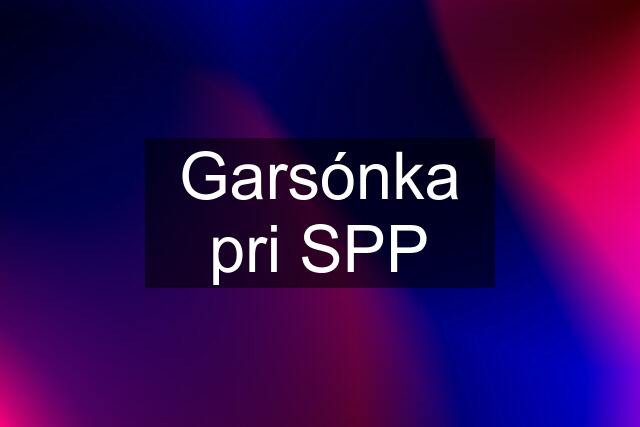 Garsónka pri SPP