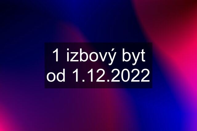 1 izbový byt od 1.12.2022