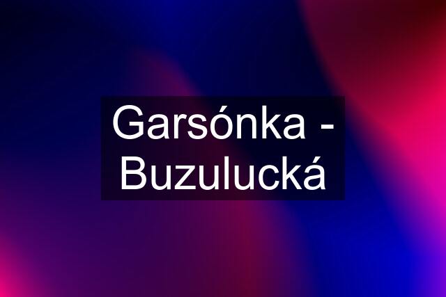 Garsónka - Buzulucká