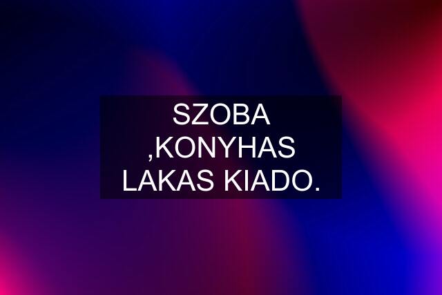 SZOBA ,KONYHAS LAKAS KIADO.